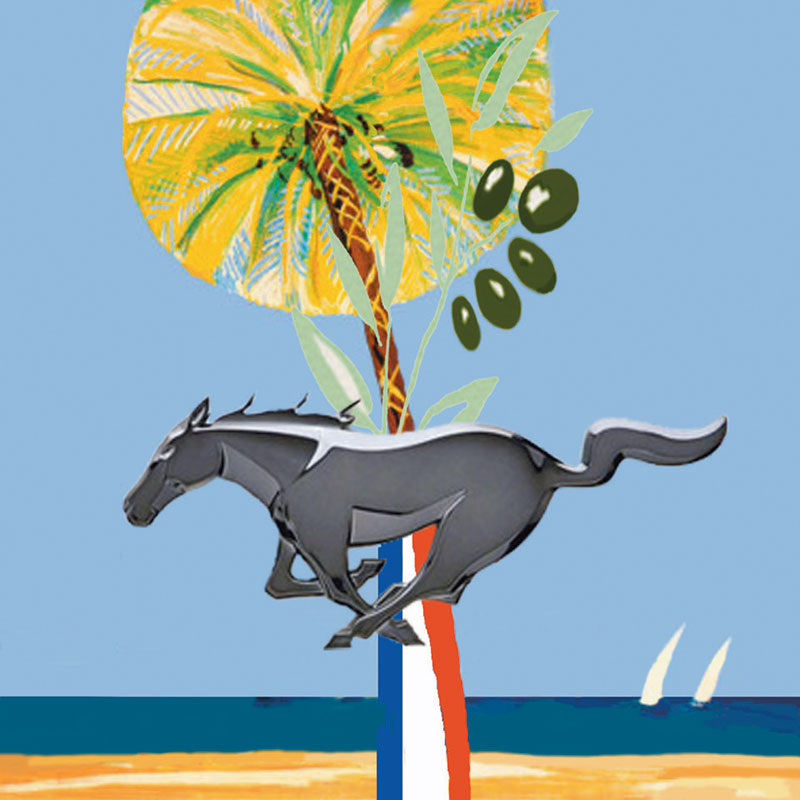 logo-paca-800x800.jpg