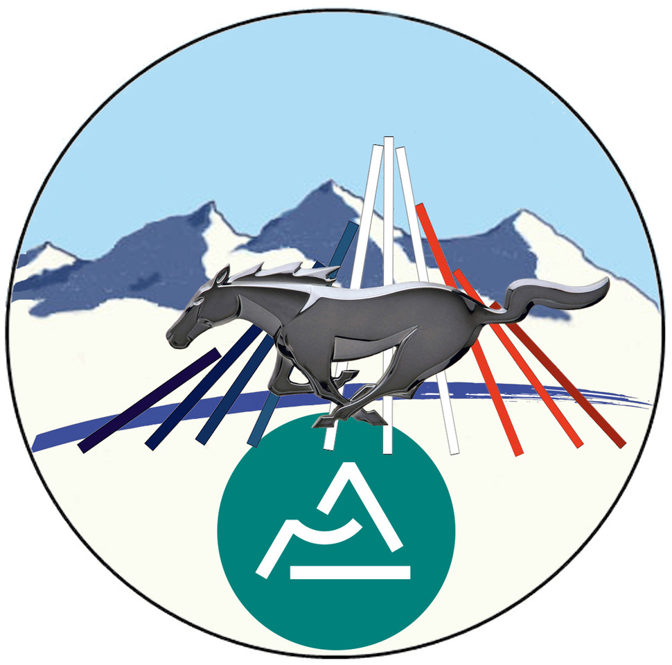 logo-rhone-alpe-modifie-1-1.jpeg